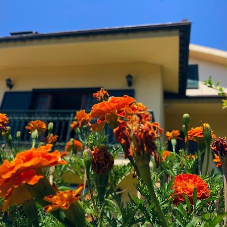 Casa Sao Simao Villa Barcelos Exterior foto