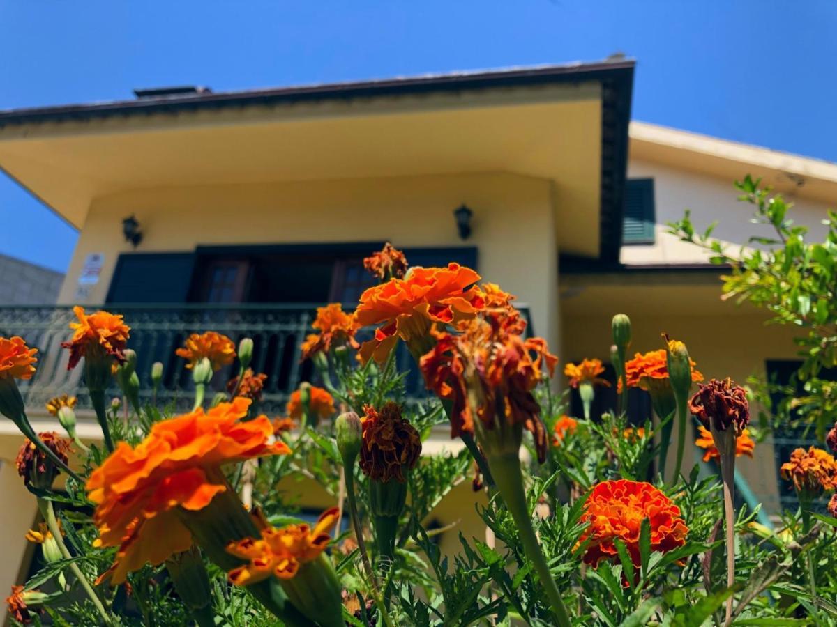 Casa Sao Simao Villa Barcelos Exterior foto